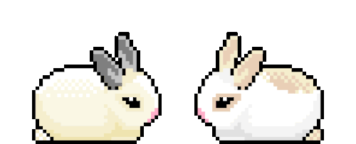 bunny