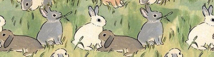 bunny